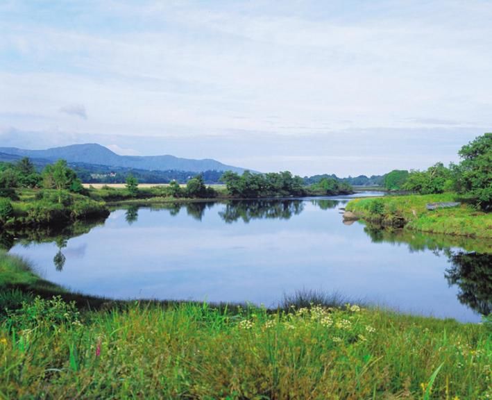 Загородные дома The Lodge Кенмэр-30