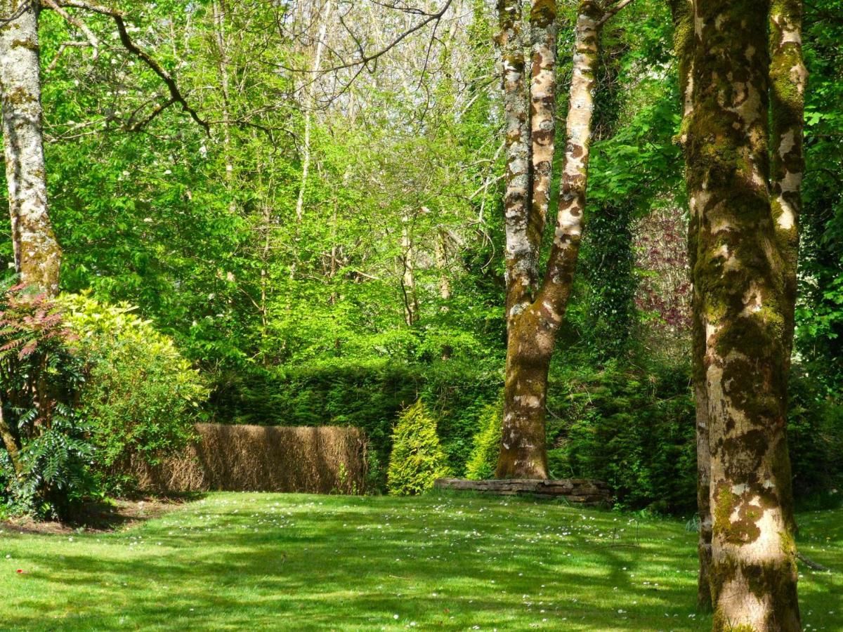 Загородные дома The Lodge Кенмэр-34